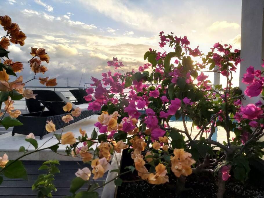 Tradewinds Apartments Simpson Bay Exterior photo